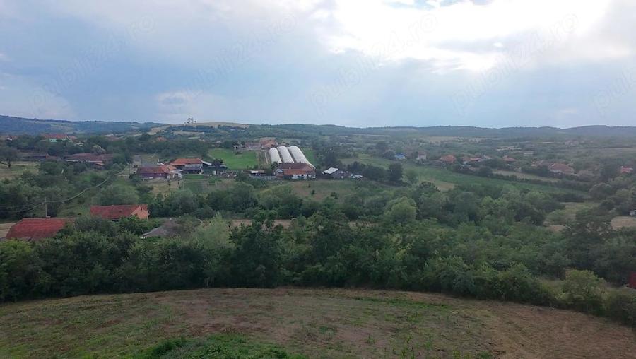 Teren de 1000 mp, în Sacoșu Mare
