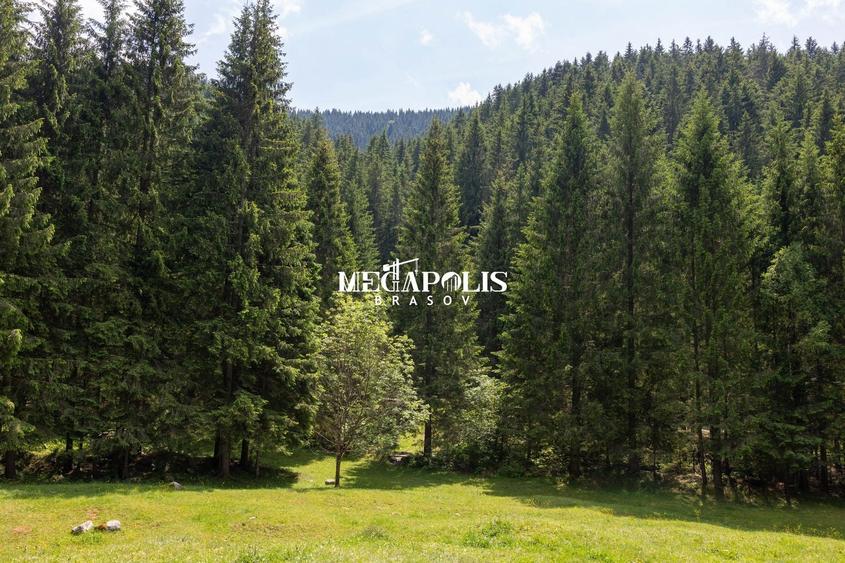 Teren Construcții intravilan de 12307 mp, în Moieciu de Sus