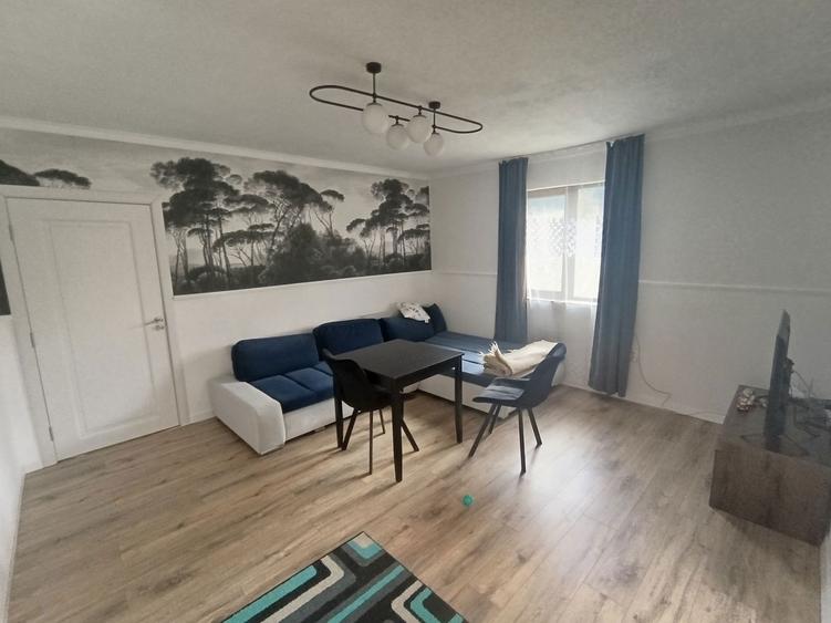 Cazare / Casa de vacanta Neamt pentru familii &cupluri (Durau Borsec) - 7