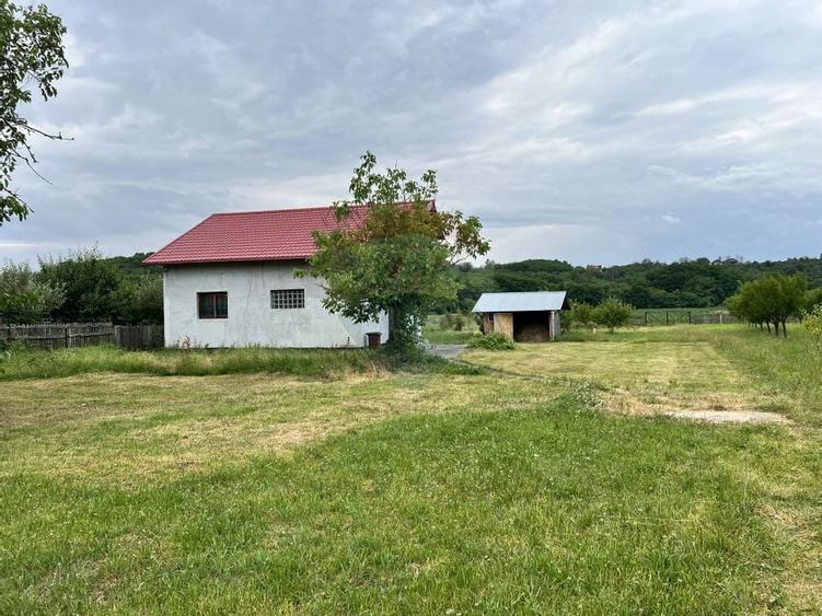 Casa cu potential intr-un cadru natural de exceptie - Mares, Albota - 5