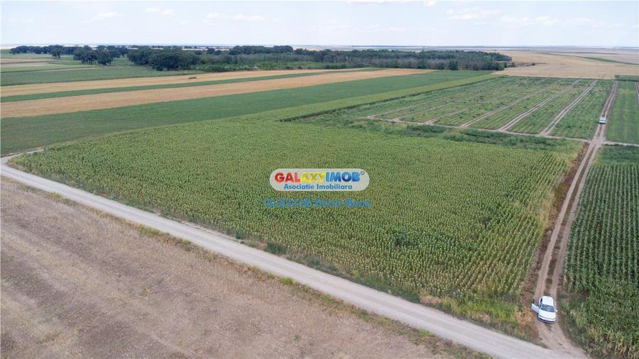 Teren agricol extravilan 2.6 ha - 26.000 mp - Valcelele, Buzau - 12
