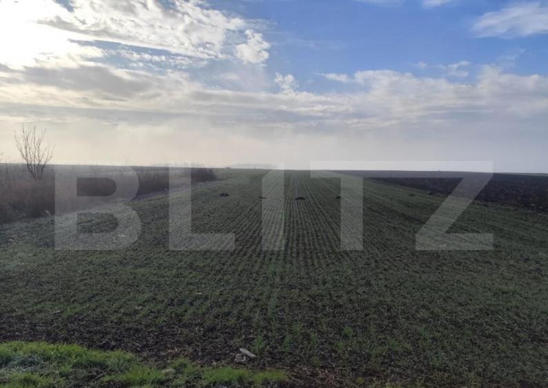 Teren 15000 mp extravilan, Miroslava-Vorovesti, langa zona d - 2