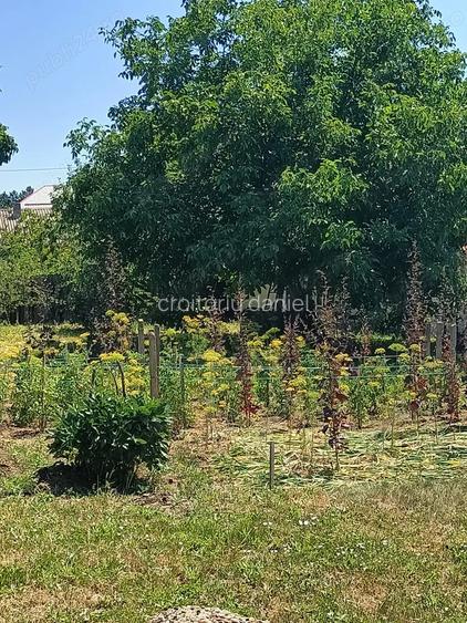 Vand casa si teren in HUSI Vand casa si teren in HUSI