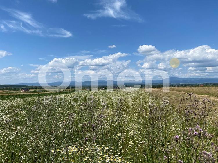Teren de vanzare in Coas, zona linistita - 1
