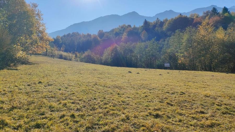 Tohanita, Brasov - 6