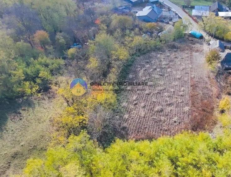 Teren de vanzare 11.766 mp Costi?a, jude?ul Neam? - 10