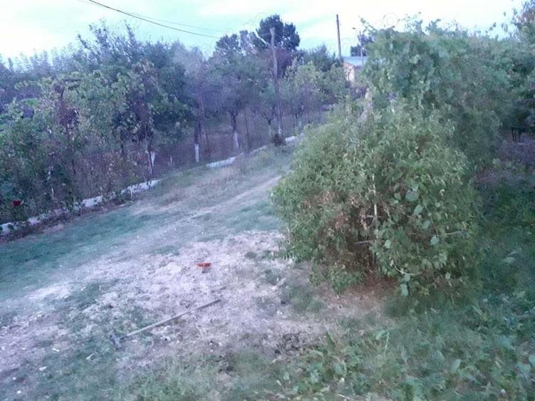 Casa de vanzare Jude?ul Giurgiu Comuna Vantorii Mici - 4