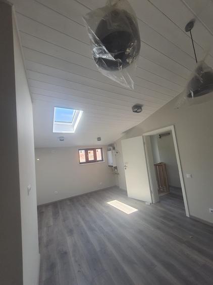 Domenii, casa D+P+1+M la prima închiriere - 9