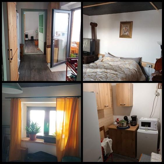 Casa 3.000mp Oltina jud CT - 5