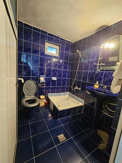 Casa de vacan?a pensiune de vanzare in comuna Salatrucu ( Valea Topologului), Jude? Arge?. - 5