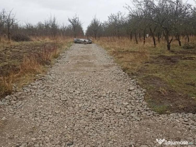 De vanzare terenuri intravilane in Sfantu Gheorghe - 4