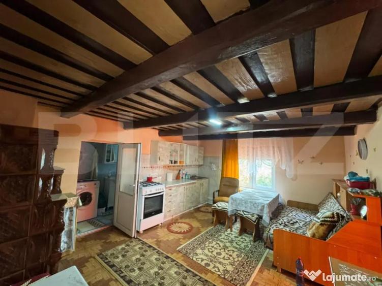 Casa cu 3 camere, 70 mp, in Ghelari - 16