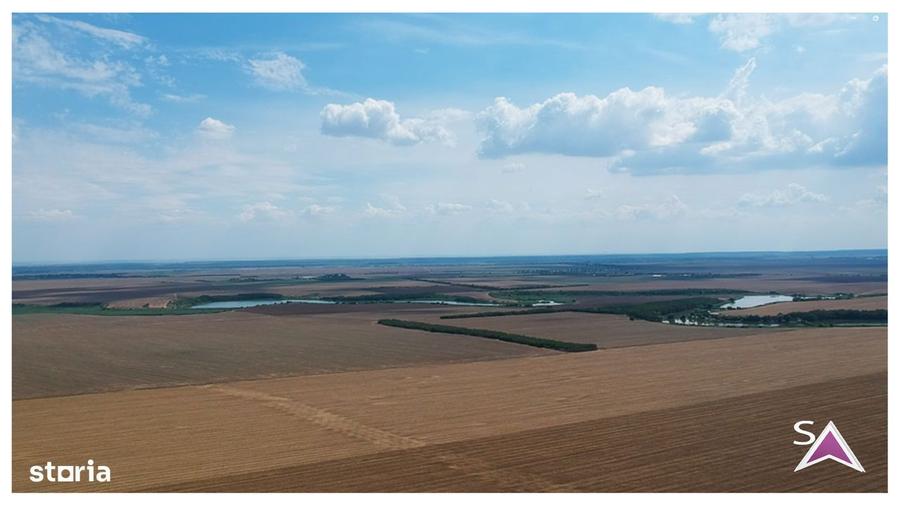 Ocazie dezvoltare - teren 8 parcele - zona premium natura(Frumusani) - 1