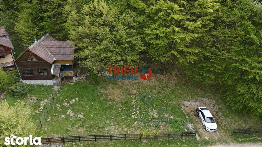 Casa de vacan?a la padure | Teren 891 mp | Valea Ighielului - 6