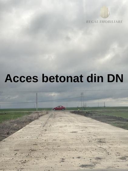 Teren Frumusani Gaz- Curent 400 mp |  D.N. 4 - 7