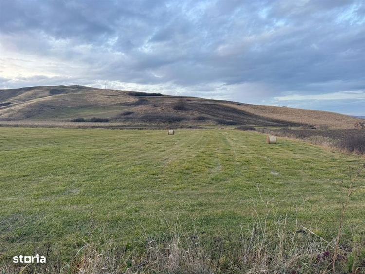 Teren Extravilan I 6000 Mp I Acces la drum | Cojocna - 2