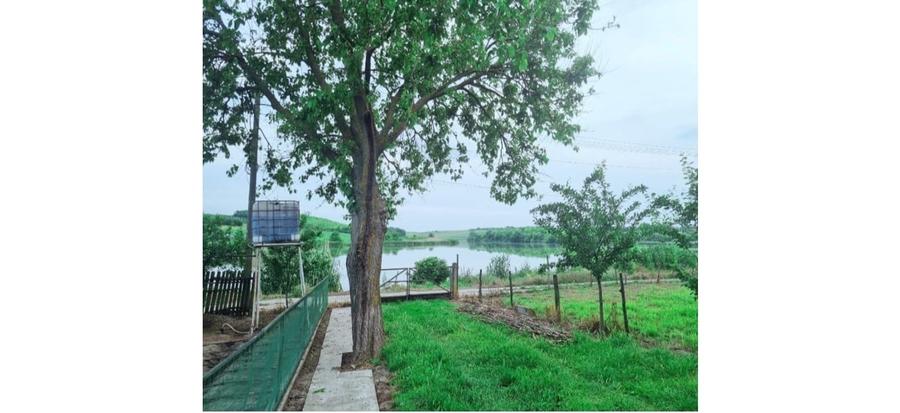 Colt de rai refugiul tău verde în inima naturii - 1