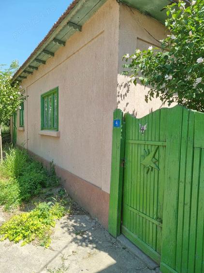 Cerna-Vand casa batraneasca 18 000 Euro negociabil - la 15 km de Dunare - 5