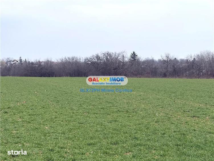 Vanzare teren intravilan Baicoi zona Ciresi - 1