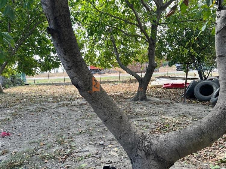 Teren + casa zona Tabarasti-Galbinasi. COMISION 0 LA CUMPARATOR - 10