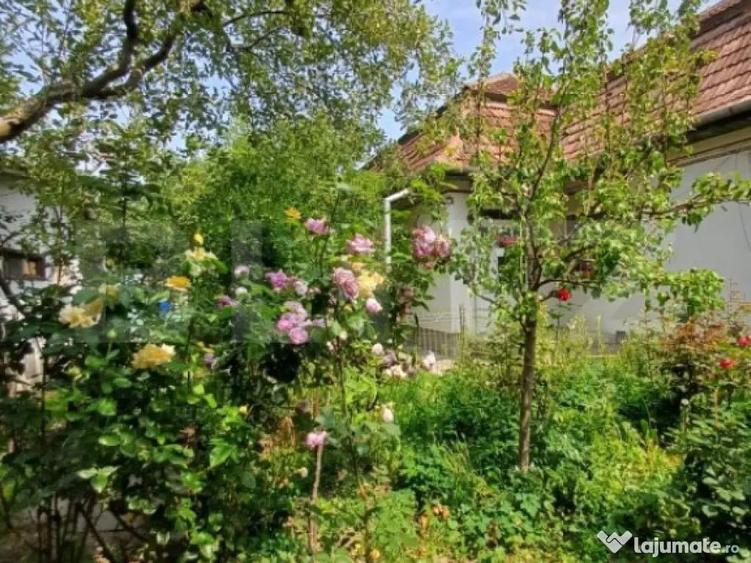 Casa individuala, 145 mp, 802 mp teren, zona centrala, Turda - 12