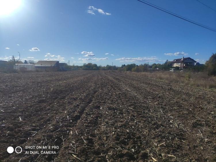 Snagov Ghermănești 4000 Mp Teren de v&acirc;nzare L3 S+P+1E+M LIDL Ieșirea Spre A3 - 7