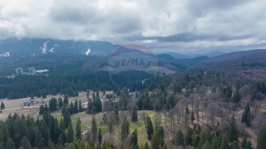 Teren Poiana Brasov, langa Stana turistica 1872mp, PUZ case/ pensiuni - 6