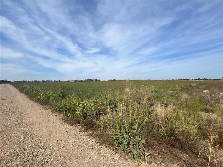 RECO Teren intravilan  industrial 6502 mp -FRONT 74 ML -centura Biharia - 5