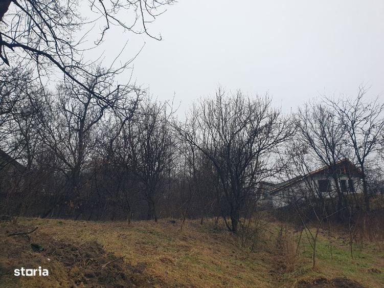 Teren intravilan IASI - COPOU - TICAU - Zona cu multa verdeata ! - 4