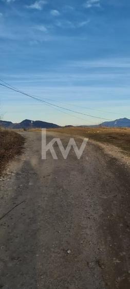 Teren de vanzare Sirnea- Comision 0% - 6