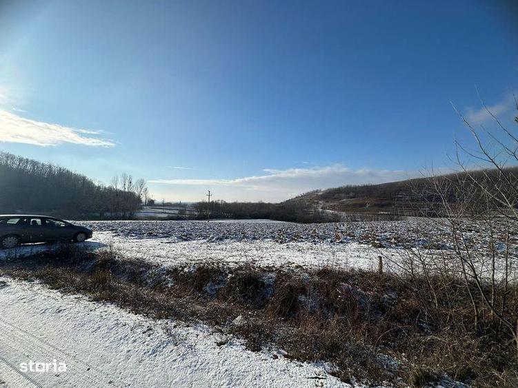Teren de Vanzare 9050mp intravilan, Tileagd - 7