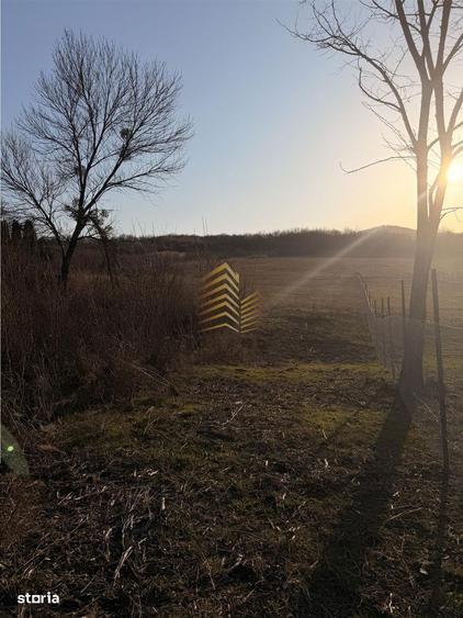 DE VANZARE TEREN EXTRAVILAN - 6