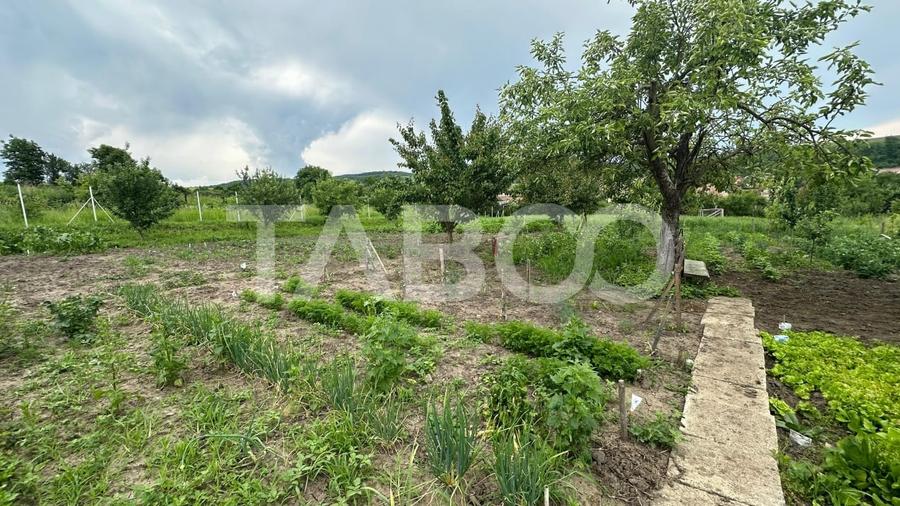 Casa individuala teren 800 mp  Comision 0%  3 camere anexe Rusi Sibiu - 8