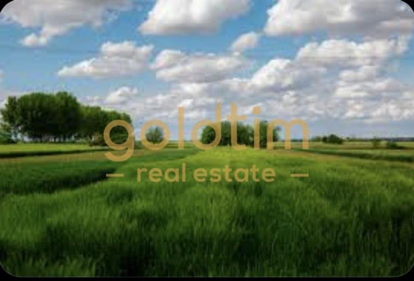 BRAGADIRU/ ZONA DE CASE - 1