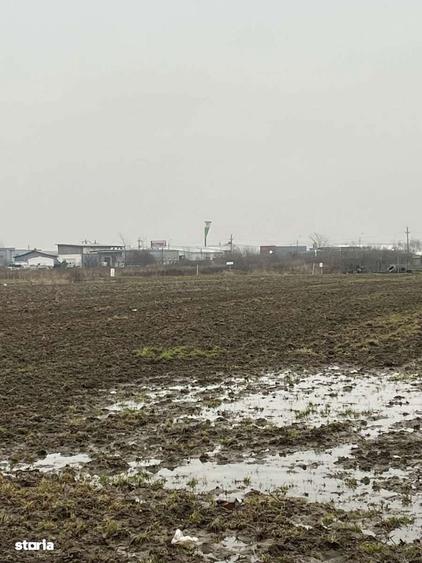 De vanzare teren 5000m , Ilfov - 2