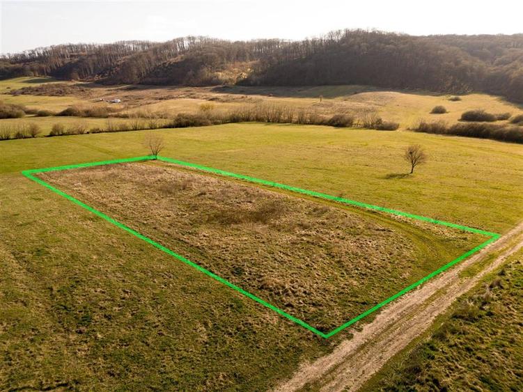 RECO teren intravilan in Betfia - 1