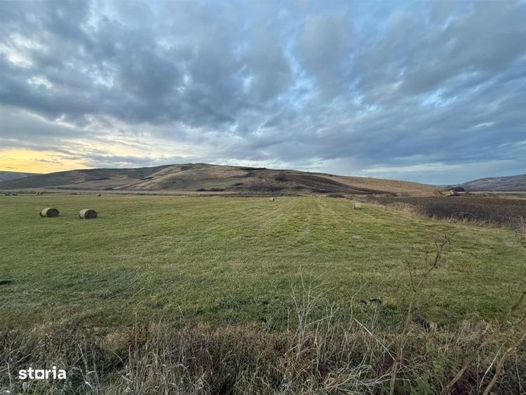 Teren Extravilan I 6000 Mp I Acces la drum | Cojocna - 7