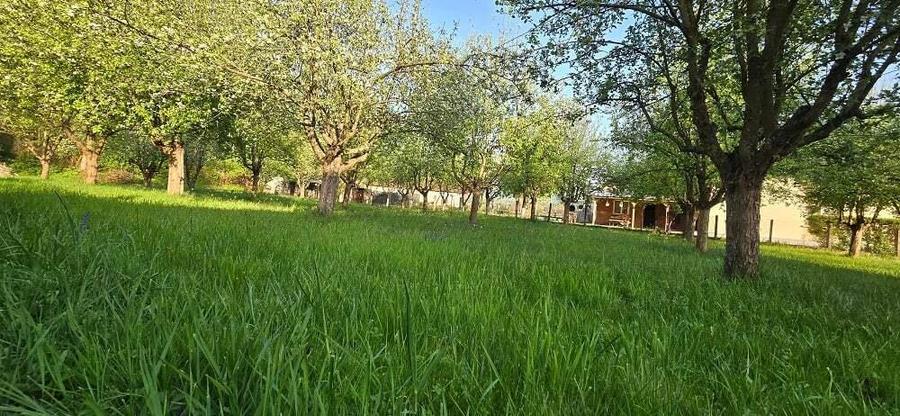 Casa in comuna Baita - 19