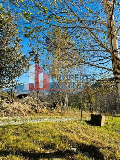 Teren Bran / Predelut cu priveliste 1840mp - 8