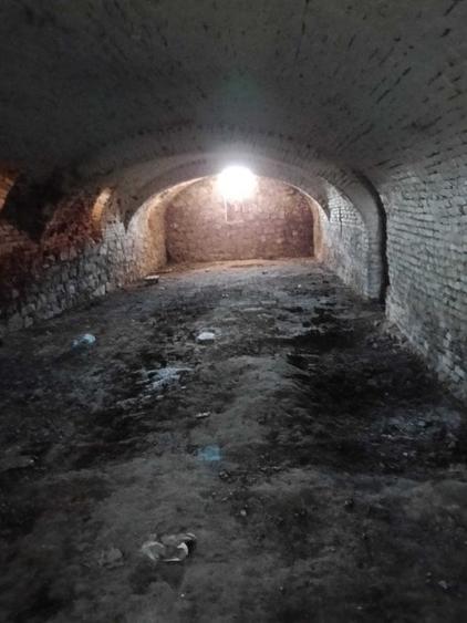 Conac apartinand lui Cicio POP, judet ARAD - 8