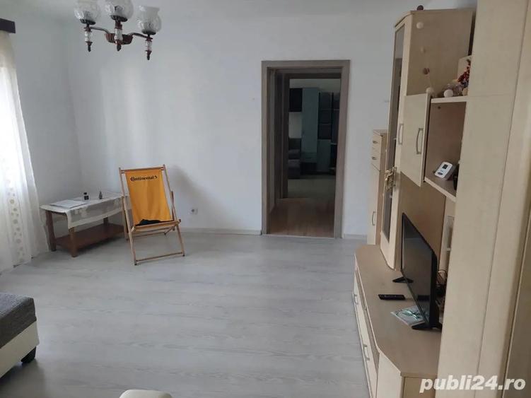 Apartament Buzias - 3