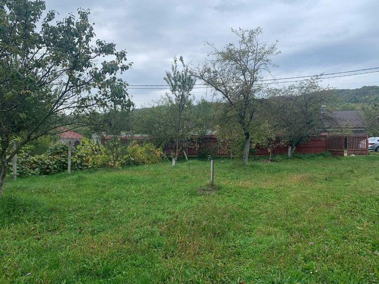 Casa + teren livada Stalpeni, Judetul Arges - 5