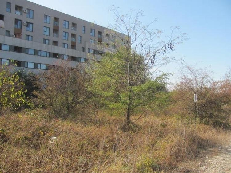 prelungirea Ghencea Iernii - 3