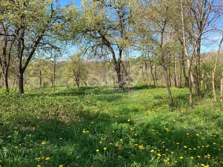 Vand teren intravilan in Albesti de Muscel - 1