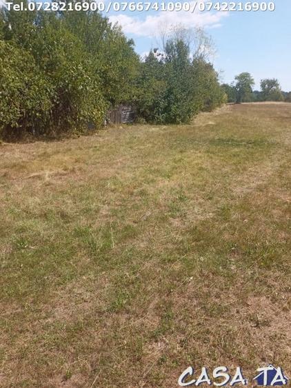 Teren Intravilan, situat in Sat Tismana (zona Gornovita) - 9