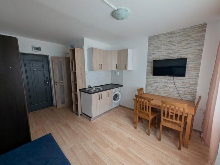 Inchiriere camera camin Nicolina - 5