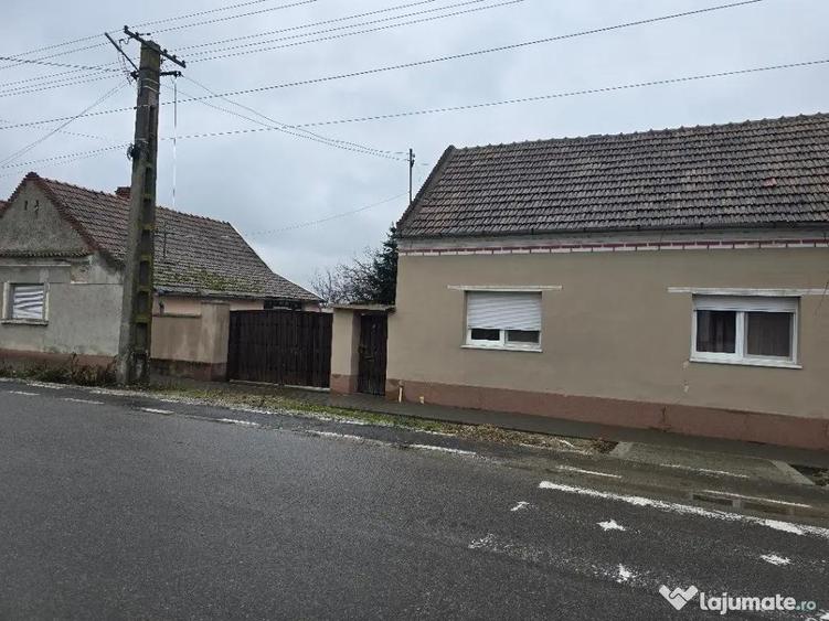 Casa plus anexa parter, Tamaseu central, gaz, sosea , ter 3040 mp - 1