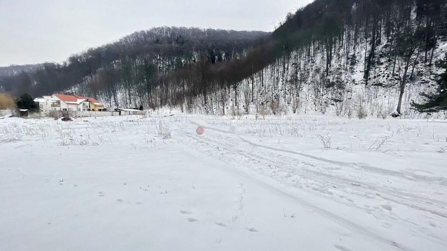 Teren intravilan - Sacele - Brasov - 4