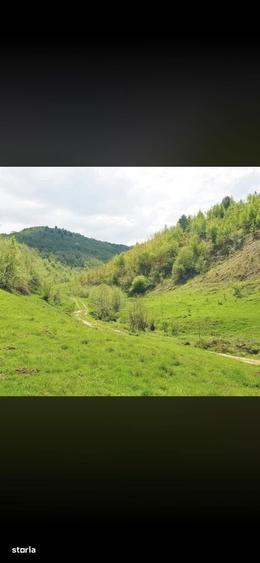 De vanzare teren la munte pentru cabana!Suprafata 439 mp 11.000euro - 1