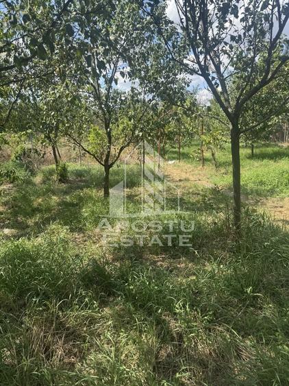 Casă unifamilială cu teren de 1504 mp - 20